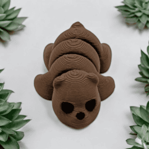 Baby Braunbär